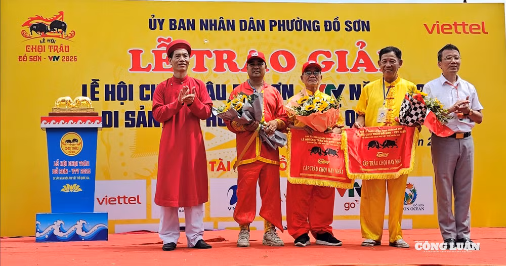 Ban tổ chức tặng hoa và cờ cho cặp trâu chọi hay nhất.