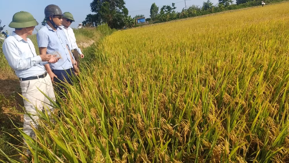 hop tac xa lien hoa 3 huong di moi vuot kho vuon len mo hinh can duoc khuyen khich hinh 1