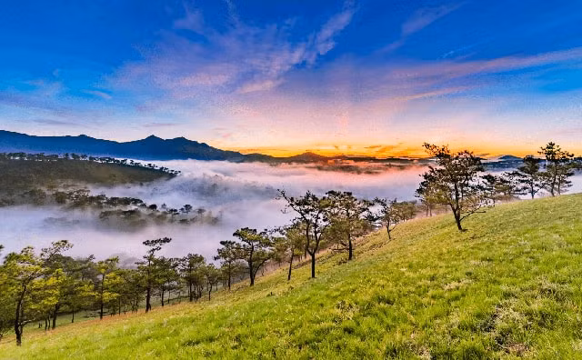 viet nam co hai dia danh lot danh sach vien ngoc tiem an o chau a hinh 1