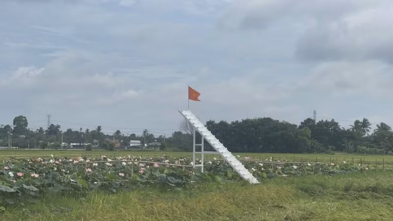 dong nai chuan bi to chuc le hoi trai cay long khanh 2023 hinh 3