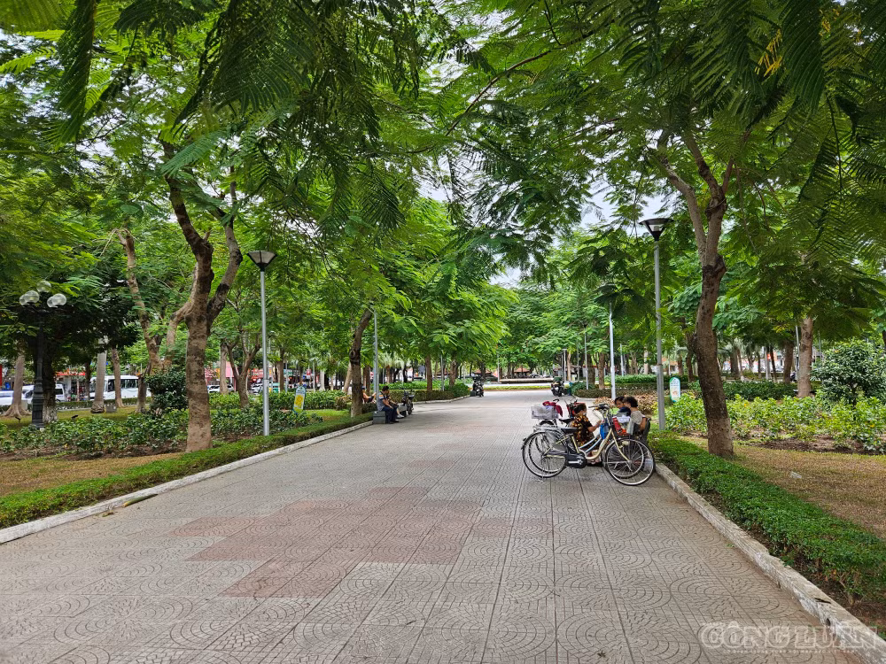 clo_br_1000282521.jpg