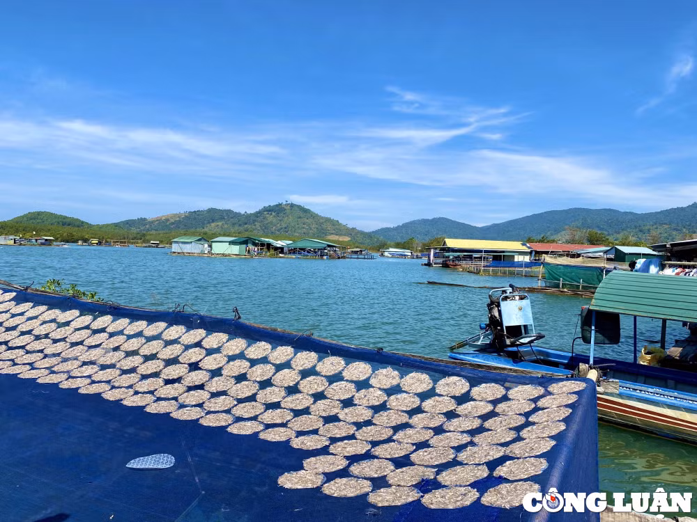 dam minh truoc ve dep yen binh o lang chai mien tay tren dong se san hinh 4