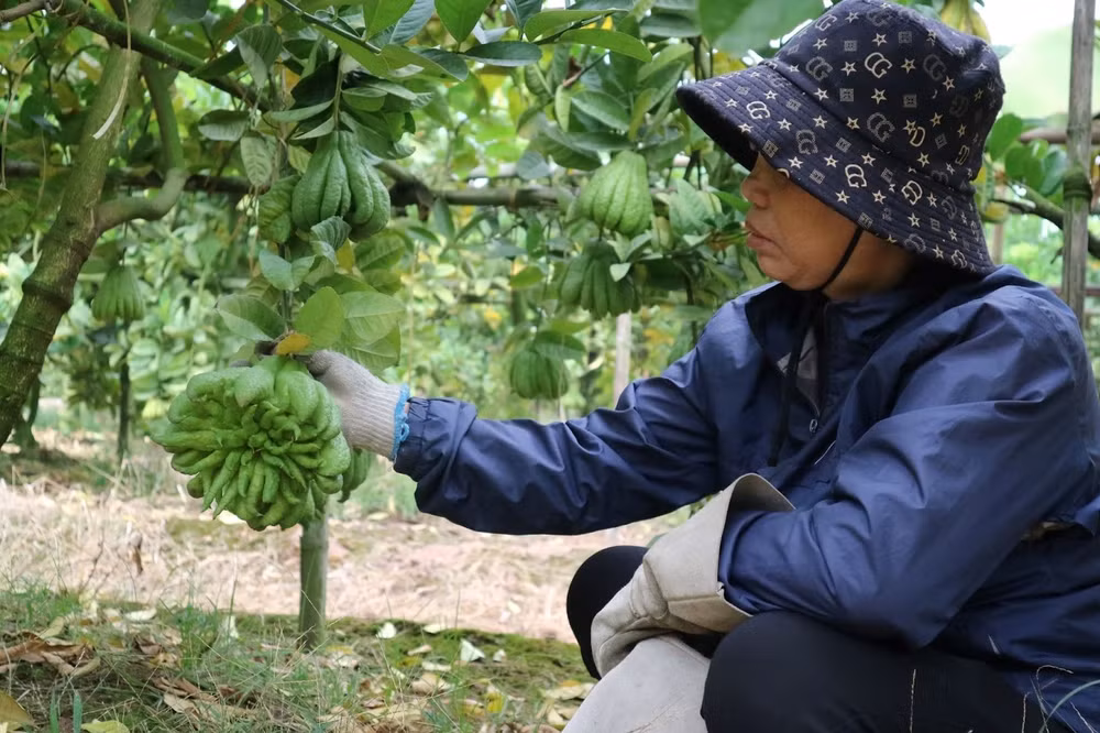 ha noi phat thu e am nong dan ngong khach ngay cuoi nam hinh 3
