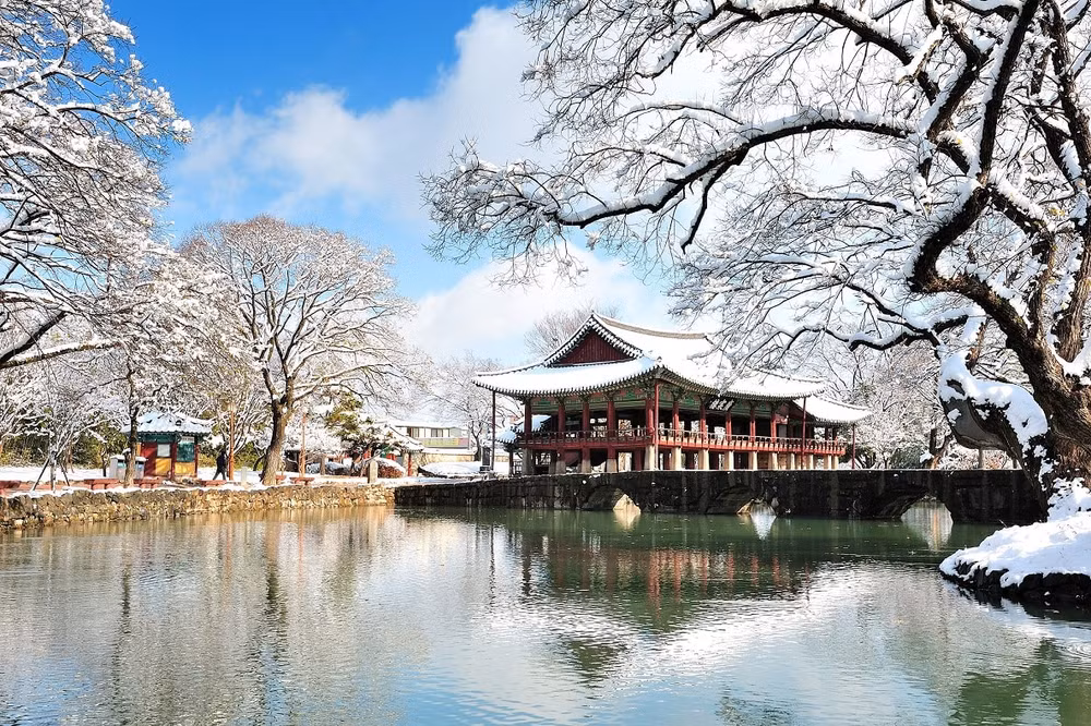 bay thang da lat seoul can tho seoul tu hom nay voi ve vietjet sieu tiet kiem hinh 4