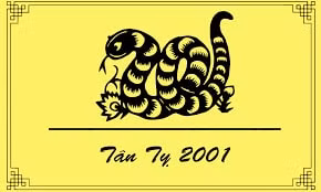 tu vi tuoi ty theo tung nam sinh hinh 5