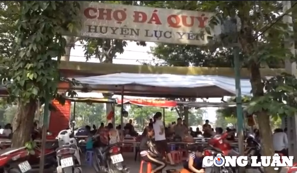 yen bai thien duong cua du lich trai nghiem va kham pha van hoa hinh 7