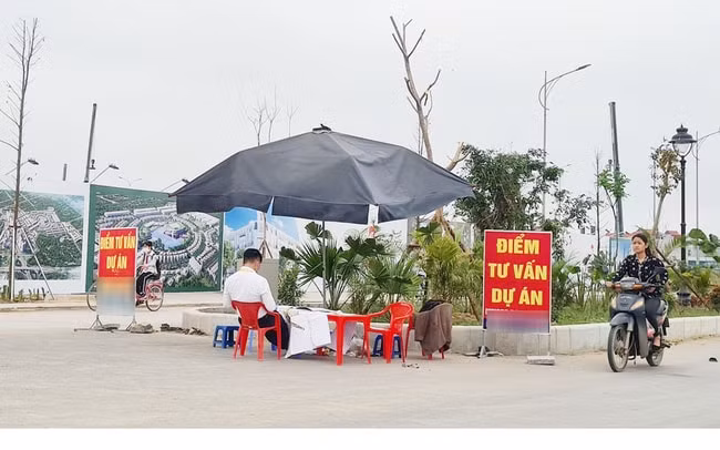 moi gioi bat dong san doi tet doanh nghiep xin thuong tet bang cach tra gop hinh 2