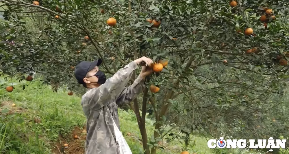ve ham yen tham vung dat cam sanh nuc tieng hinh 2