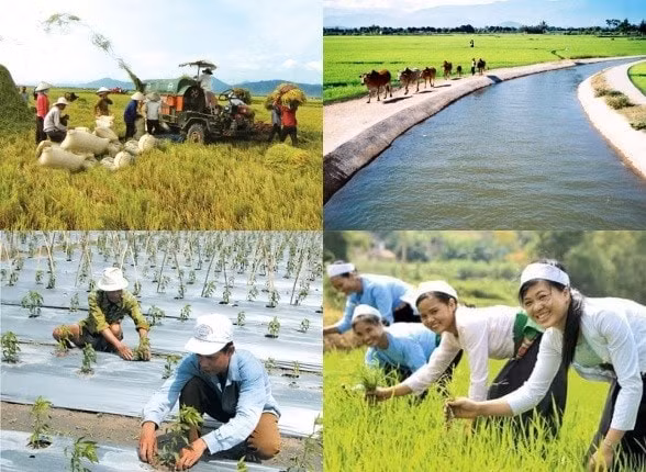 ảnh minh họa, nguồn internet
