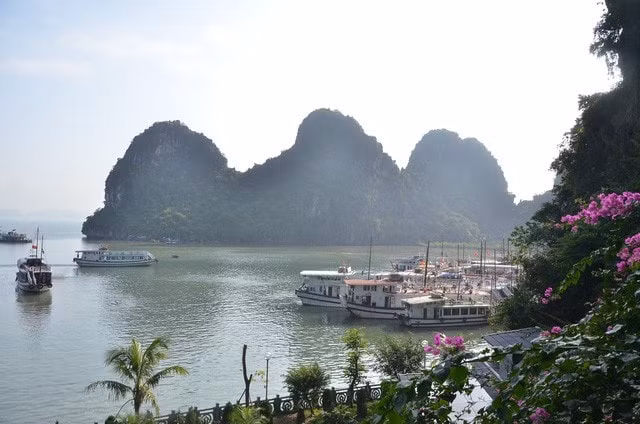 Khách du lịch Quảng Ninh đi du thuyền thăm quan Vịnh Hạ Long. Ảnh: Vi Phong.