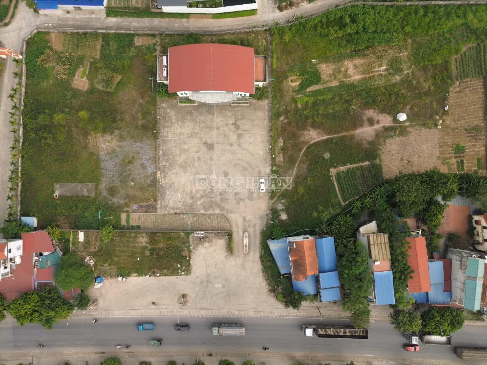 clo_c_dji-0706.jpg