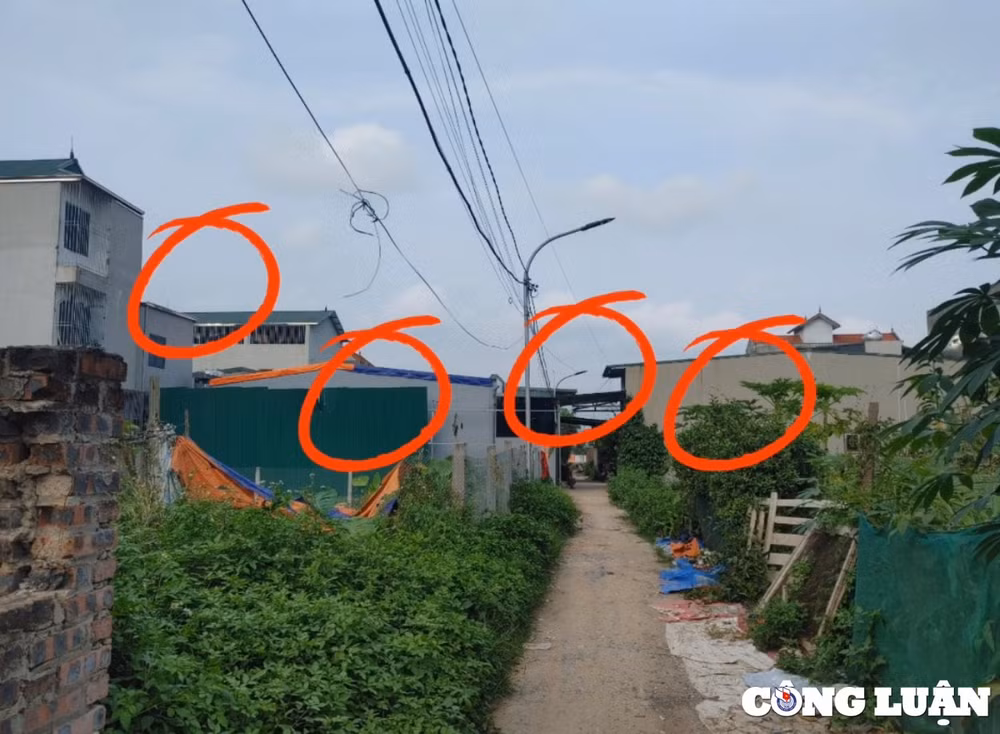 ha noi nhung cum dan cu dua nhau moc tren dat nong nghiep o huyen hoai duc hinh 6
