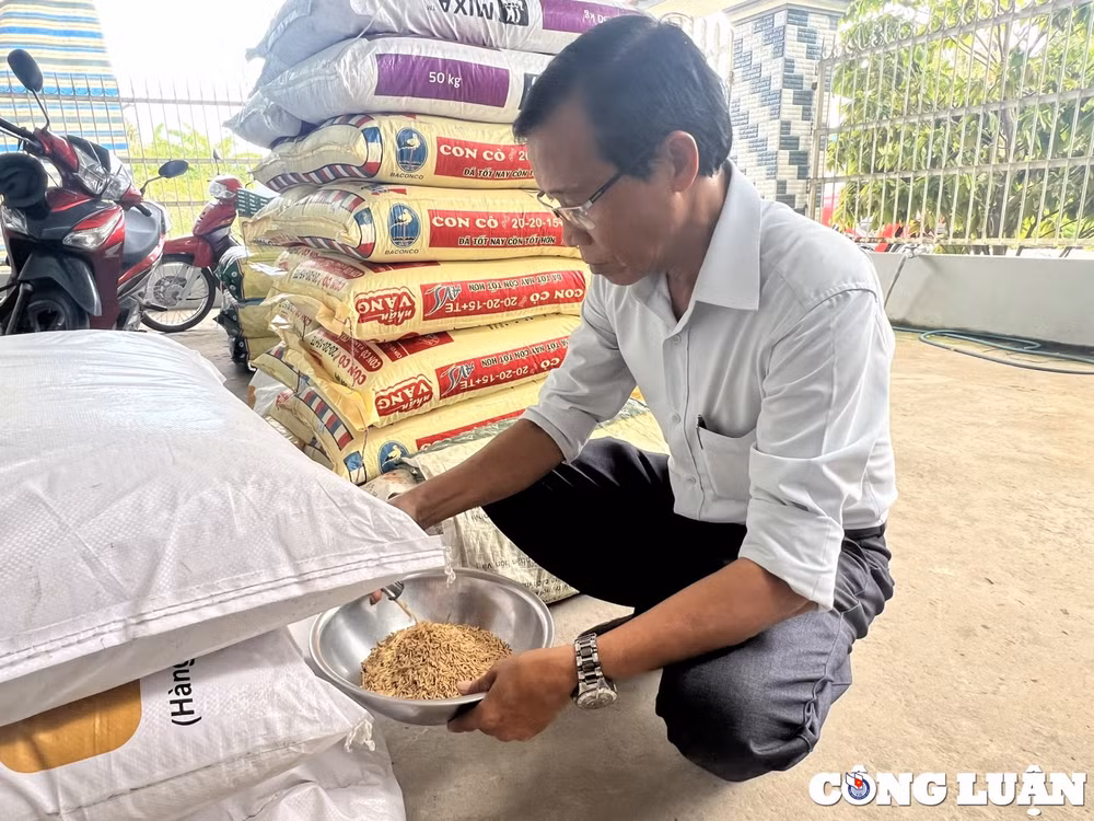 bac lieu phat hien co so lua giong co nhan hang hoa khong dung quy dinh hinh 1
