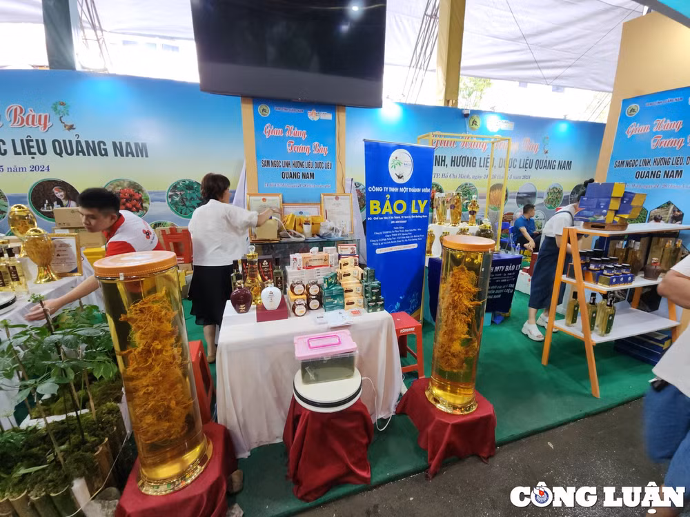 le hoi sam va huong lieu duoc lieu quoc te tp hcm thu hut nhieu du khach tham quan hinh 5