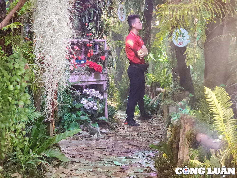 le hoi sam va huong lieu duoc lieu quoc te tp hcm thu hut nhieu du khach tham quan hinh 4