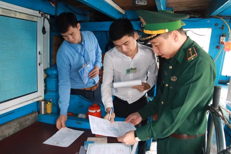 nam dinh xu phat hanh chinh 78 tau ca vi pham khai thac iuu hinh 1