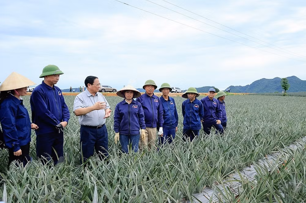 nghien cuu ket noi dong bo tuyen duong dong tay cua ninh binh voi cac truc giao thong quan trong hinh 3