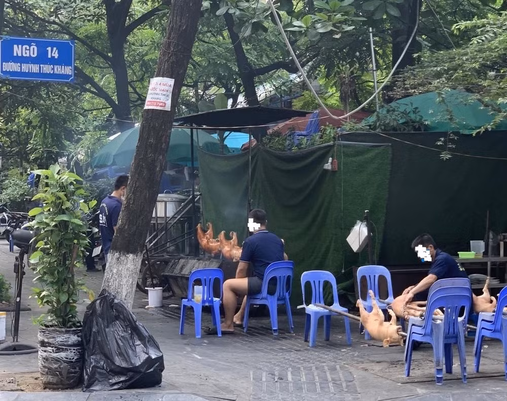 di tim loi giai bai toan bao dam an toan thuc pham bai cuoi cham ap dung cac quy chuan quoc te cua who hinh 1