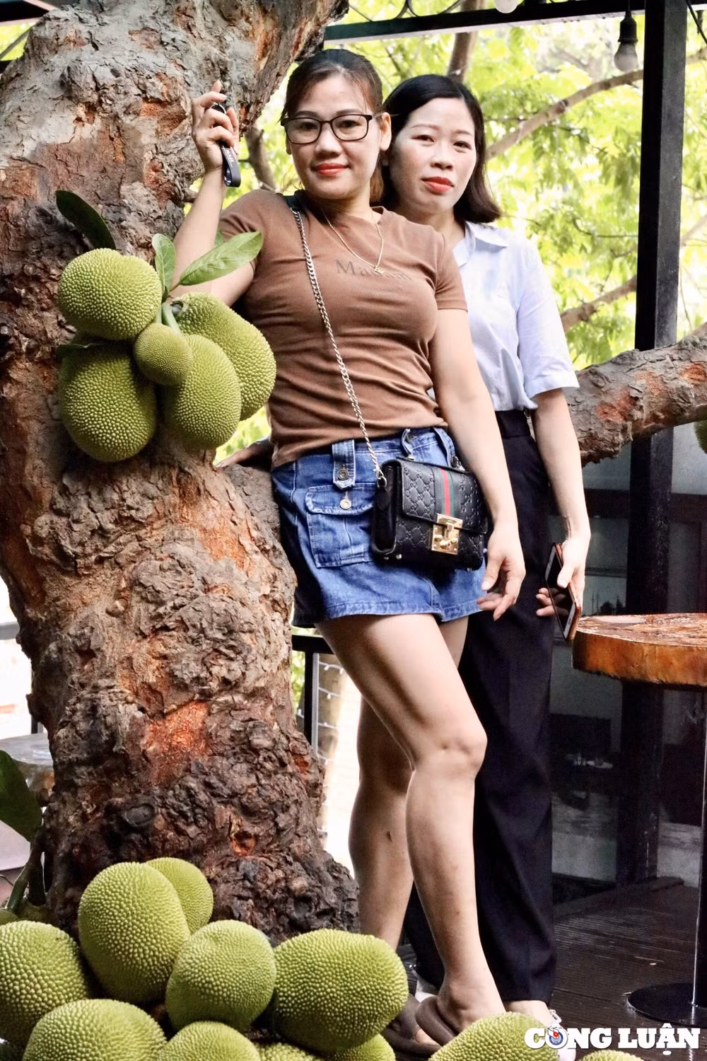 khong gian quan ca phe doc la o tuyen quang co cay mit sai triu qua hinh 8