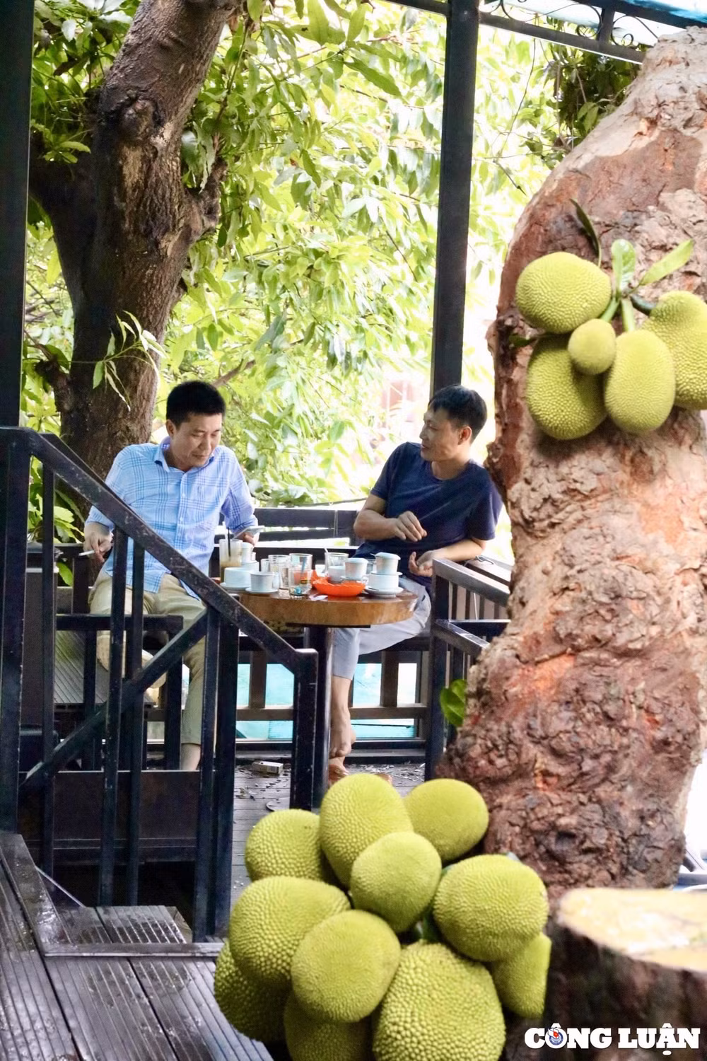 khong gian quan ca phe doc la o tuyen quang co cay mit sai triu qua hinh 4