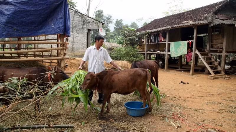 chuong trinh 1719 gop phan thuc day phat trien kinh te xa hoi nguoi dan ba thuoc hinh 4