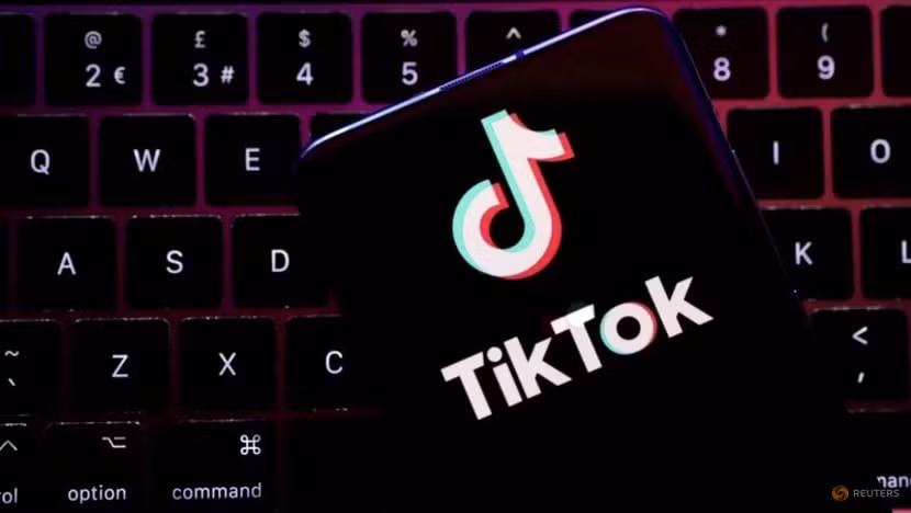 meta va tiktok phai xoa so luong noi dung ky luc vao nam 2023 o malaysia hinh 1