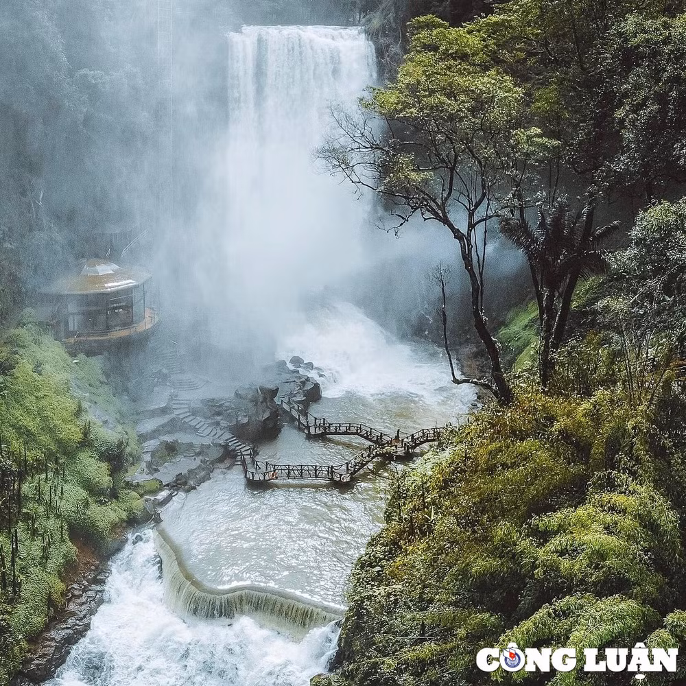 tan huong chon bong lai thac dambri tren cao nguyen xanh bao loc hinh 3