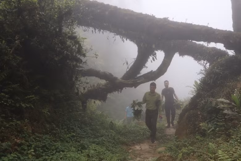 tuyen duong da co pavie o lao cai duoc xep hang di tich cap tinh hinh 2