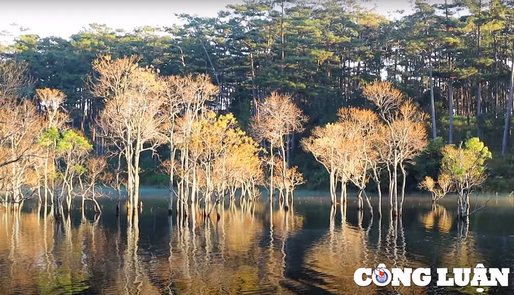 suoi tia coi thien thai giua long da lat hinh 2