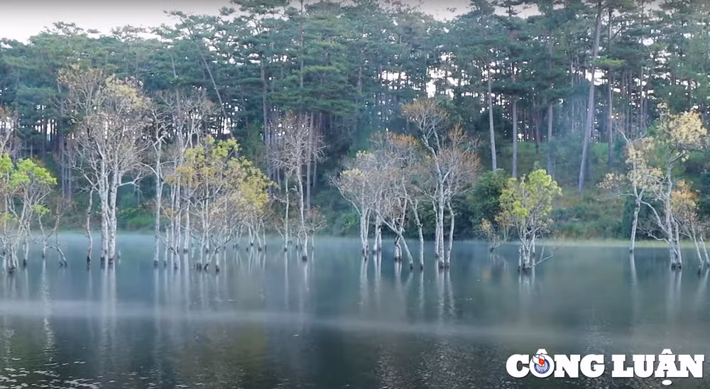 suoi tia coi thien thai giua long da lat hinh 4