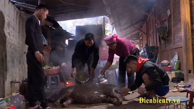 dac sac tet khu su cha cua nguoi ha nhi noi cuc tay to quoc hinh 3