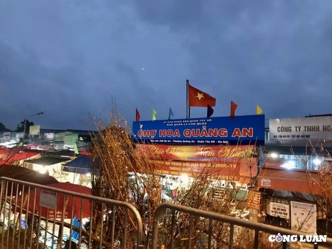 ron rang nhung phien cho hoa tet cuoi nam hinh 6