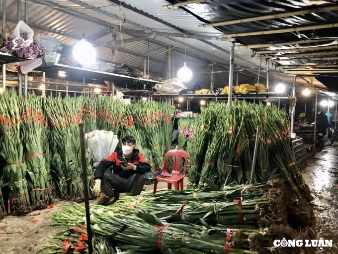 ron rang nhung phien cho hoa tet cuoi nam hinh 4