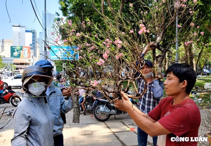 cuoi gio cho hoa xuan nhung goc dao khung bi cua ngang than ban gia 200 ngan dong hinh 12