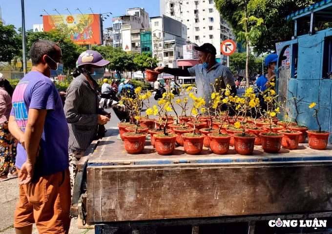 cuoi gio cho hoa xuan nhung goc dao khung bi cua ngang than ban gia 200 ngan dong hinh 3