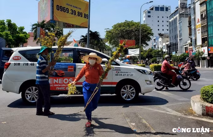 cuoi gio cho hoa xuan nhung goc dao khung bi cua ngang than ban gia 200 ngan dong hinh 5