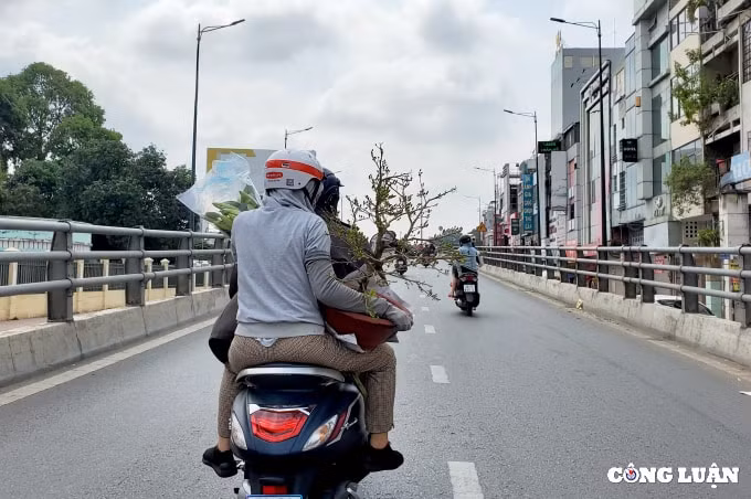 cac nga duong tphcm thong thoang nguoi dan thoai mai di mua sam ngay cuoi nam hinh 9