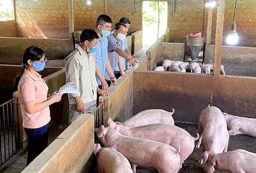 bo nong nghiep va phat trien nong thon nganh chan nuoi dang rat kho khan hinh 1