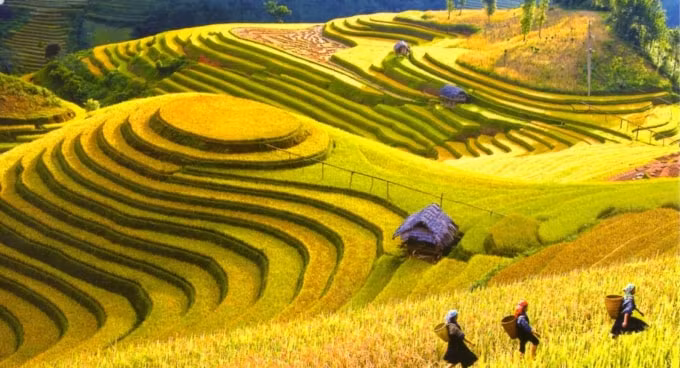 mo cua don khach du lich quoc te phai quyet liet va nhanh chong hinh 1