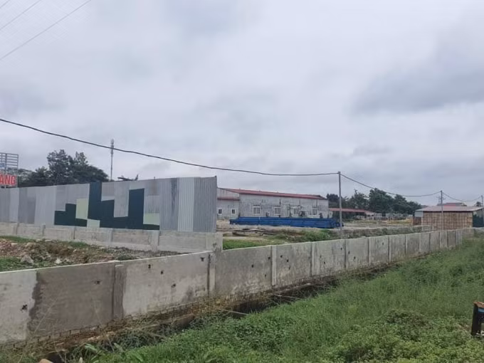 thanh hoa du an 12 nam dang do bong dung duoc cuu nho covid 19 hinh 2