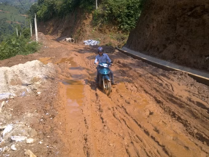 tim ra ban chat van de kien nghi chinh sach sao cho rung khong tiep tuc bi tan pha hinh 2