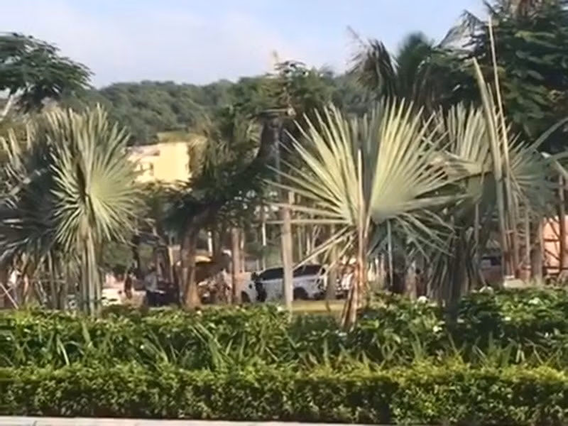 hon chien tren pho do son hai phong khien mot nguoi chet 2 nguoi bi thuong hinh 1