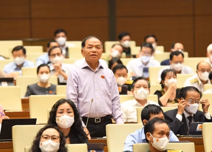 Đại biểu Quốc hội Lê Thanh Vân (đoàn Cà Mau) phát biểu ý kiến trước Quốc hội sáng nay (21/7/2021).