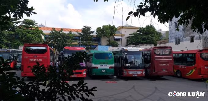tp hcm chuan bi mo lai 8 tuyen xe buyt phuc vu nguoi dan hinh 1
