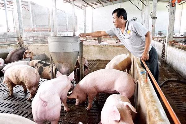 bo tai chinh de xuat mo rong dia ban ho tro bao hiem nong nghiep hinh 1