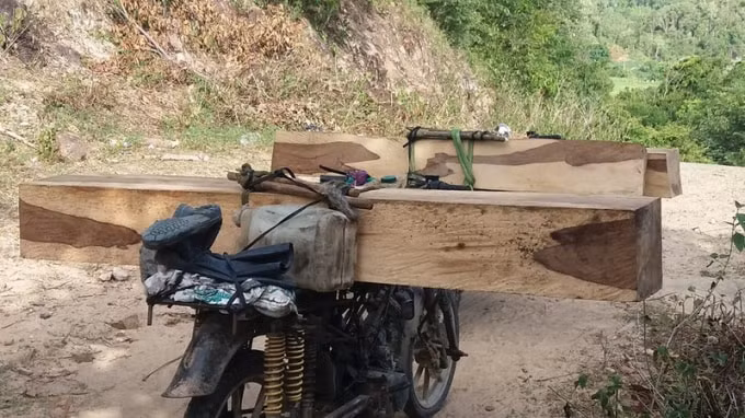 Một chiếc xe máy tự chế để chở gỗ lậu từ rừng ra ngoài. Ảnh: TL.