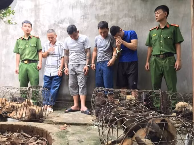 Nhóm ‘cẩu tặc’ bị công an bắt giữ