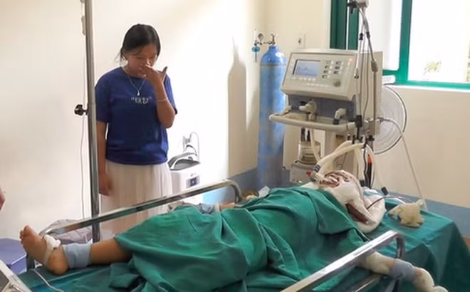 Cháu bé 5 tuổi nguy kịch đang được điều trị trong bệnh viện. Ảnh: TL.