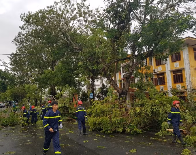Lực lượng chức năng khắc phục sự cố cây gãy đổ ngay sau khi bão vừa đi qua.