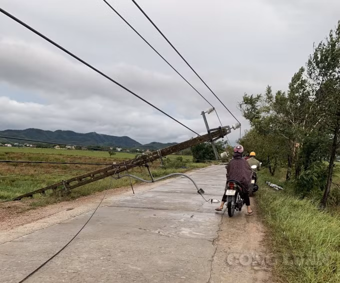 Hệ thống điện liên xã bị đổ ra giữa đường gây nguy hiểm cho người đi lại.